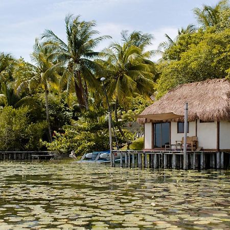 Lagoon Front Hut: Daily Cleaning, Bikes & Kayaks! Bacalar Exterior foto